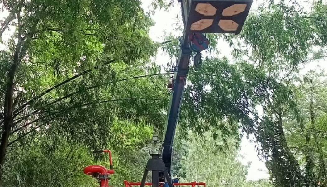 ติดตั้งไฟฟ้าส่องสว่างบ้านดงจาน ม.14